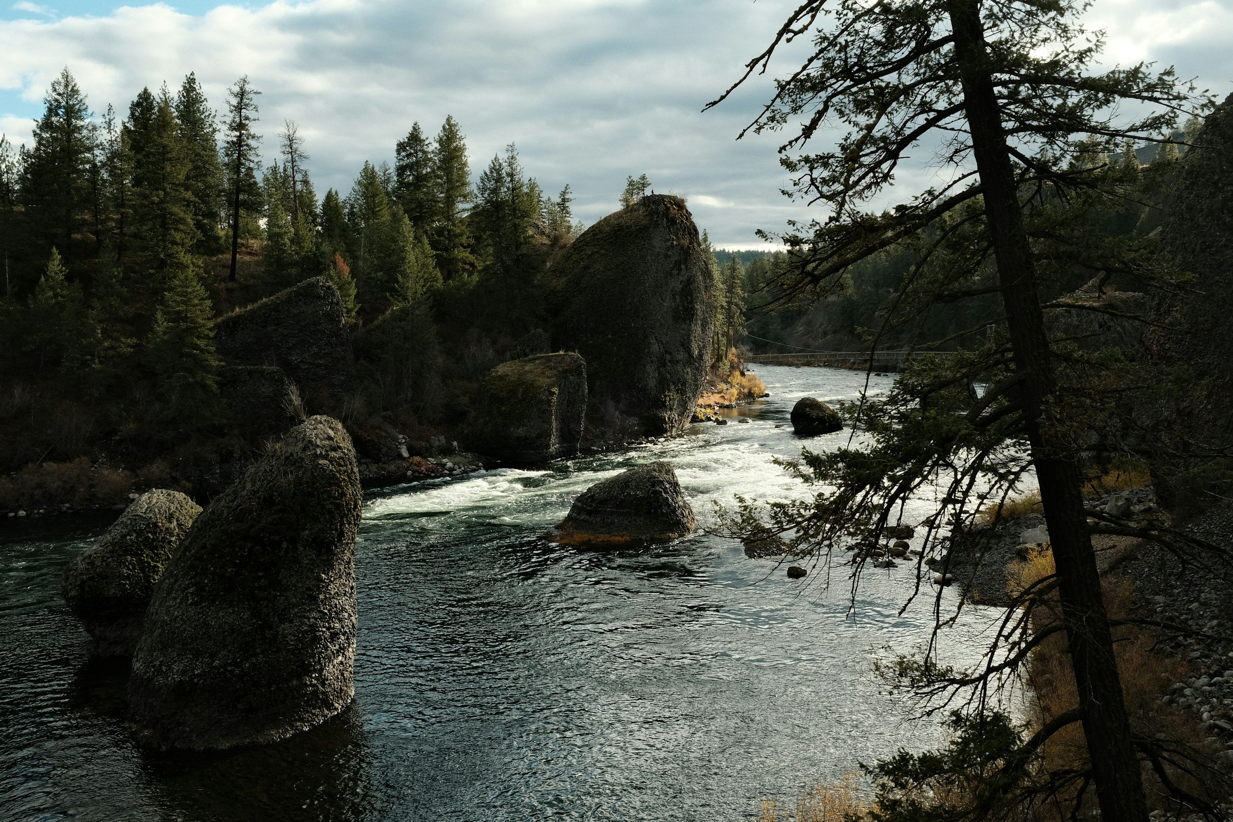 Spokane River running through trees at Riverside State Park